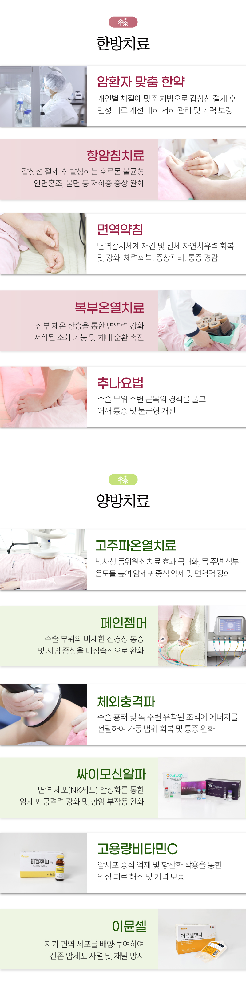 통합암치료 세부 프로그램